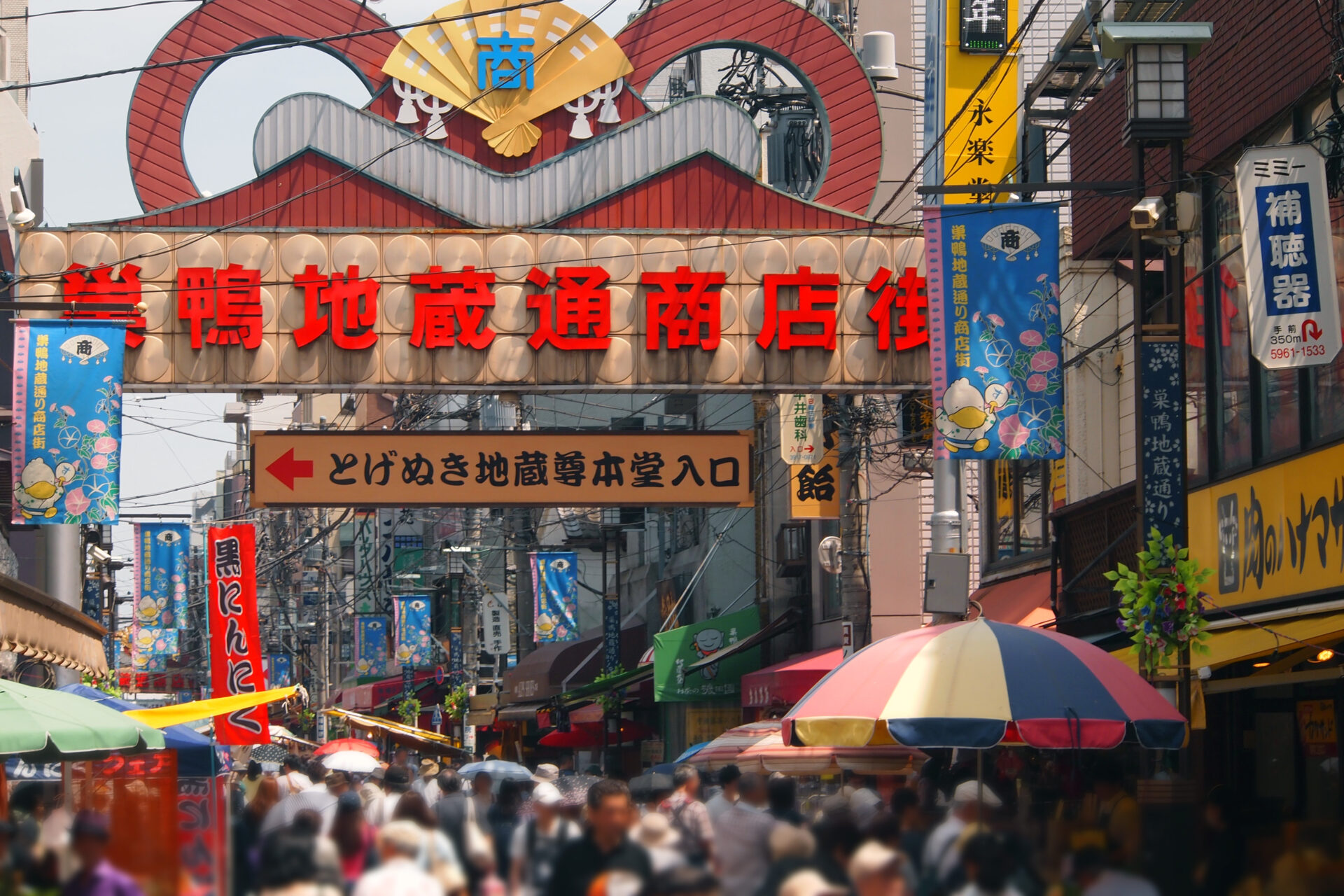 15 Hidden Gems in Tokyo That You Need to Visit